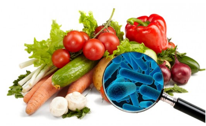 Microbiología de los alimentos